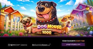 Arte oficial do slot The Dog House Megaways 1000, da Pragmatic Play