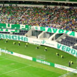 Torcida do Palmeiras no estádio hoje chamado Nubank Parque, onde a camisa alviverde estreia o patrocínio da Embracon em 26 de julho