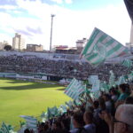 Torcida do América-MG agita bandeiras verdes e brancas nas arquibancadas do estádio Independência