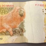 Nota de 20 reais do Banco Central do Brasil, cédula de dinheiro brasileiro