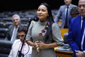 Sessão no plenário da Câmara dos Deputados, ambiente institucional onde ocorrem audiências como a da SPA sobre bets ilegais (Foto de arquivo: sessão no plenário da Câmara dos Deputados (2023), ambiente institucional onde ocorrem audiências como a citada na matéria, sem relação direta com o depoimento da SPA.)
